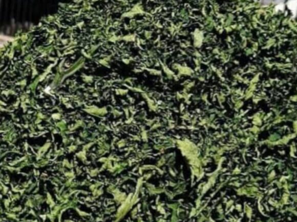 Dried Vegetables & Roots